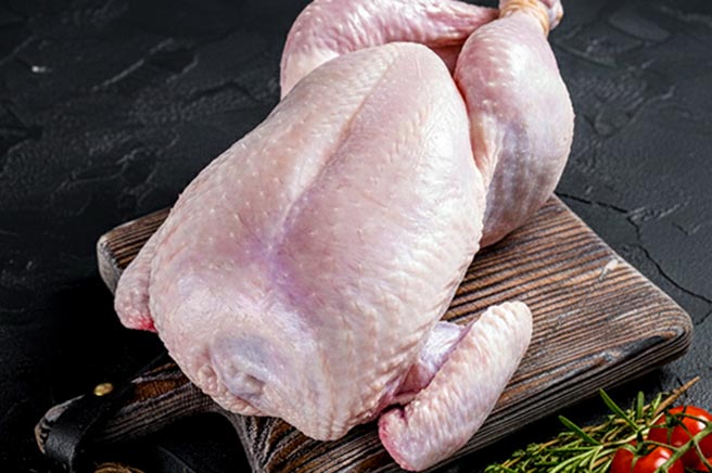 Chicken Chicken