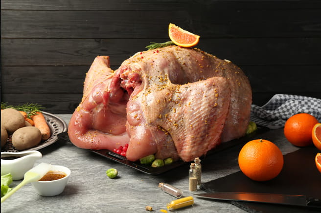 Turkey Turkey