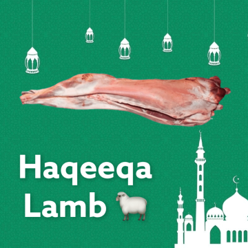 Picture of Haqeeqa Sheep