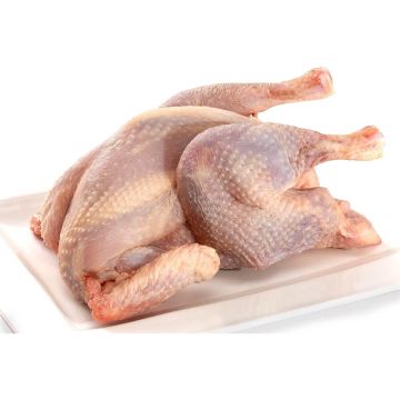 5 Boiler (Hen)