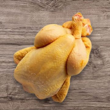 CORN-FED CHICKEN