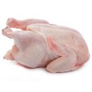 Baby Chicken Singles – Tender, Fresh & Ready to Cook