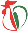 logo icon