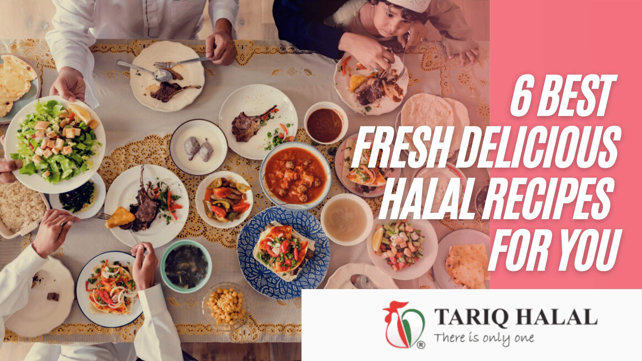 6 Best Fresh Delicious Halal Recipes for You