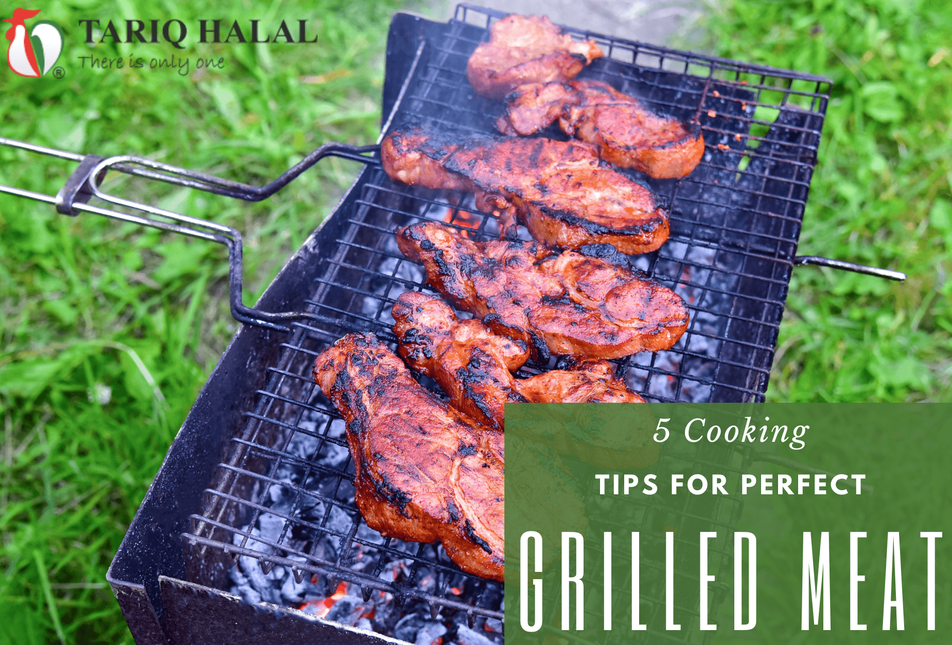 5 Cooking Tips for Perfect Grilled Meat
