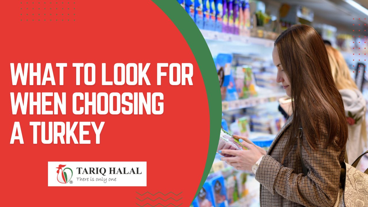 What to look for when choosing a turkey?